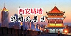 免费看美女操逼视频中国陕西-西安城墙旅游风景区